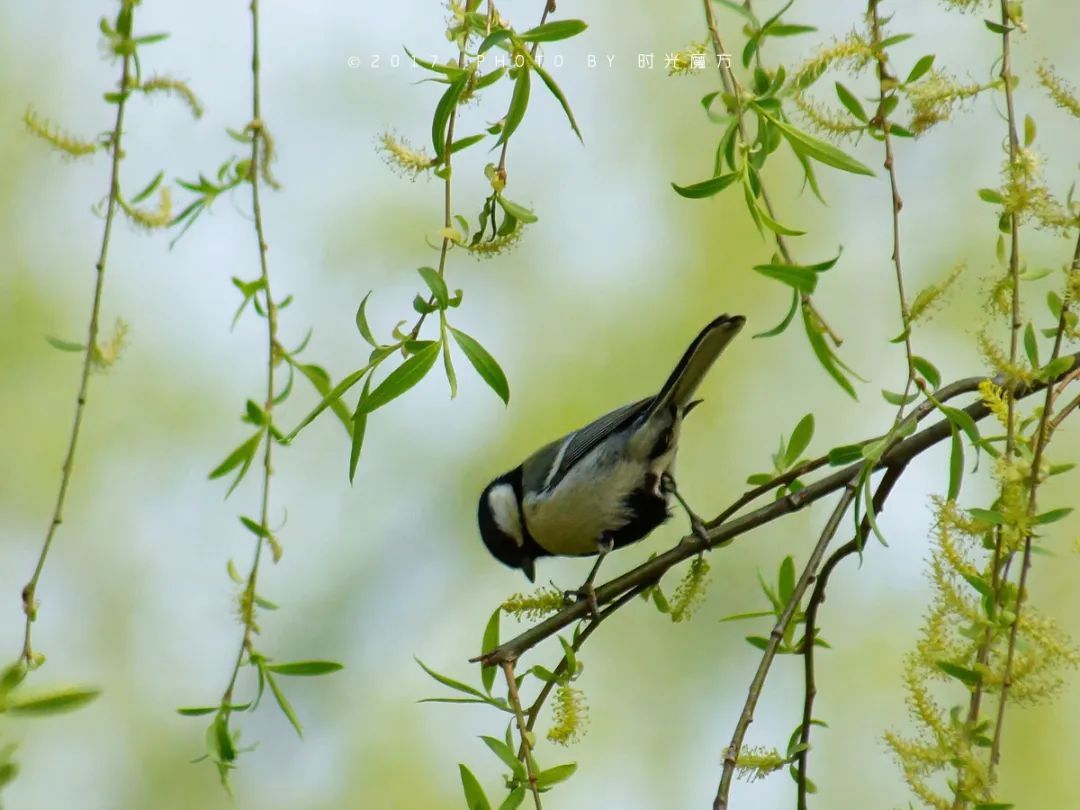 技工等级考试正在进行中