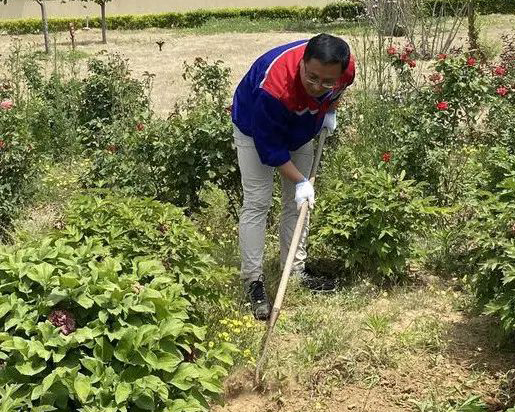 青岛锐智党支部开展“清除杂草 美化环境”主题党日活动